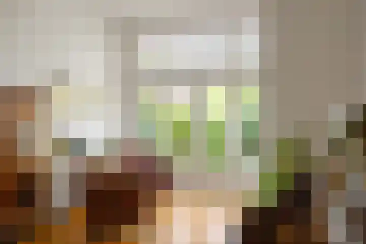 Nieuwlandersingel 56 Alkmaar thumbnail 17