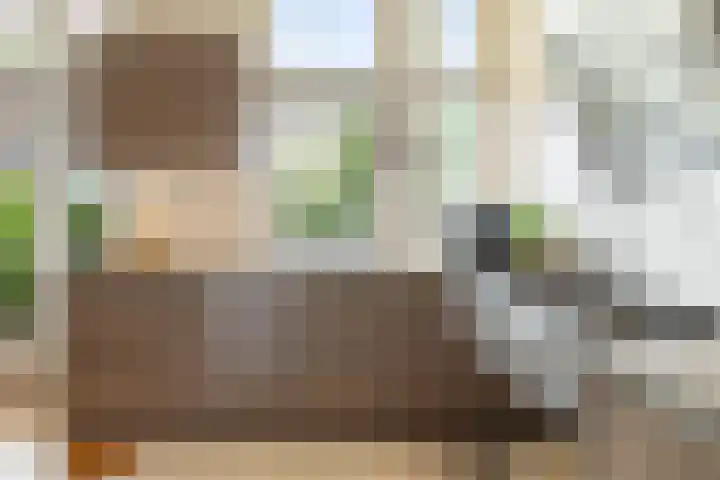 Nieuwlandersingel 56 Alkmaar thumbnail 20