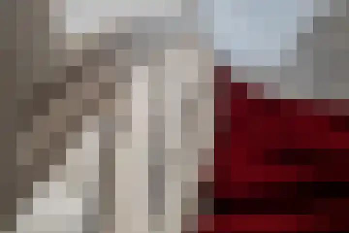 Nieuwlandersingel 56 Alkmaar thumbnail 23
