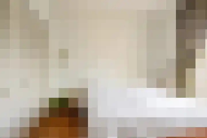 Nieuwlandersingel 56 Alkmaar thumbnail 24