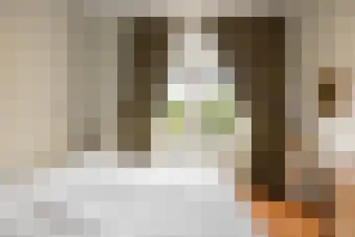 Nieuwlandersingel 56 Alkmaar thumbnail 26