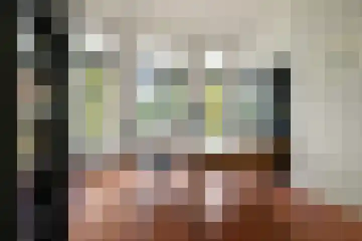 Nieuwlandersingel 56 Alkmaar thumbnail 29