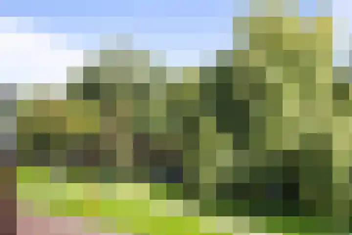 Nieuwlandersingel 56 Alkmaar thumbnail 30