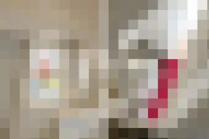 Nieuwlandersingel 56 Alkmaar thumbnail 35