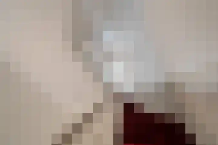Nieuwlandersingel 56 Alkmaar thumbnail 36