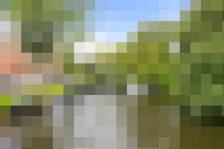Nieuwlandersingel 56 Alkmaar thumbnail 4