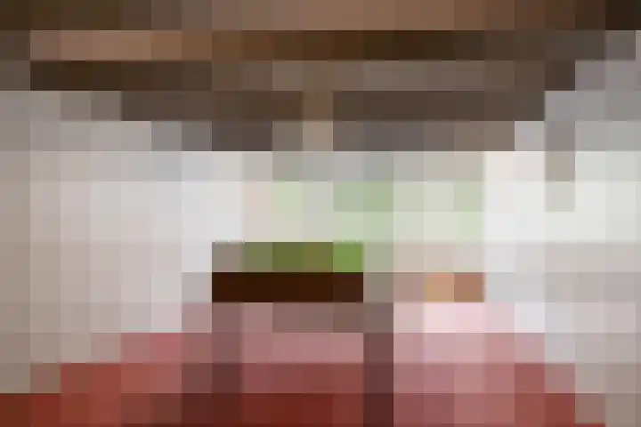 Nieuwlandersingel 56 Alkmaar thumbnail 43