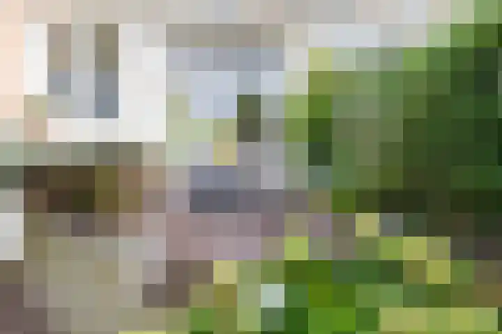 Nieuwlandersingel 56 Alkmaar thumbnail 46