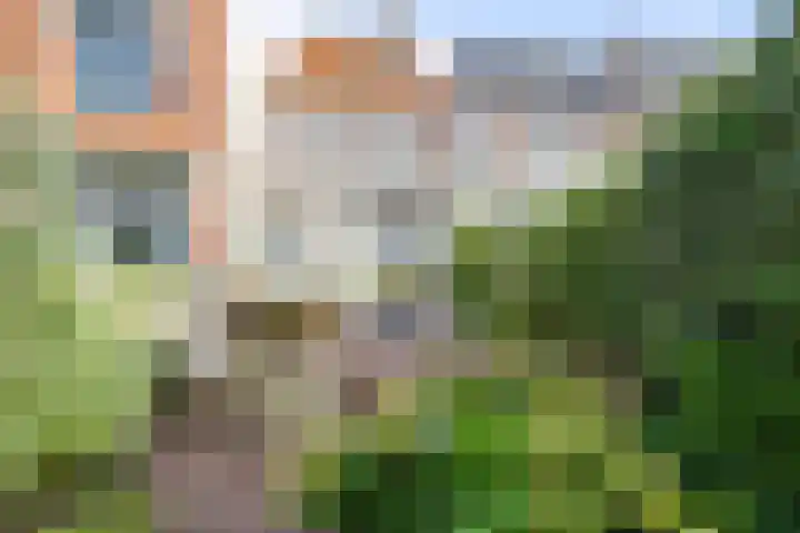 Nieuwlandersingel 56 Alkmaar thumbnail 47