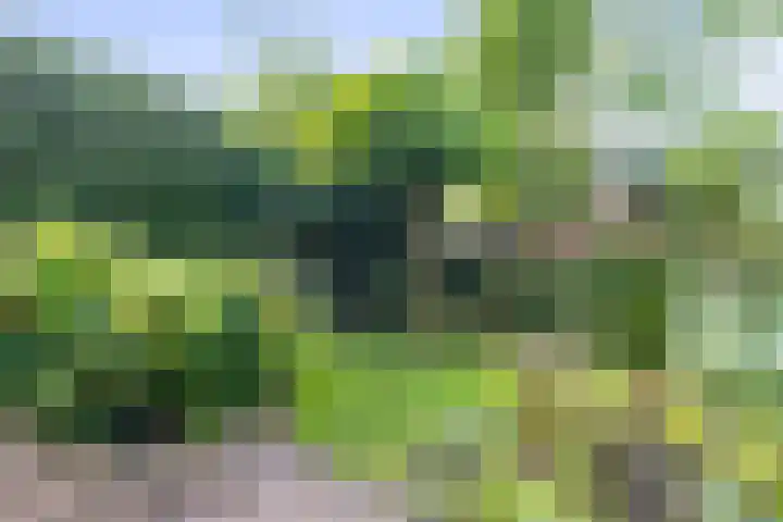Nieuwlandersingel 56 Alkmaar thumbnail 48