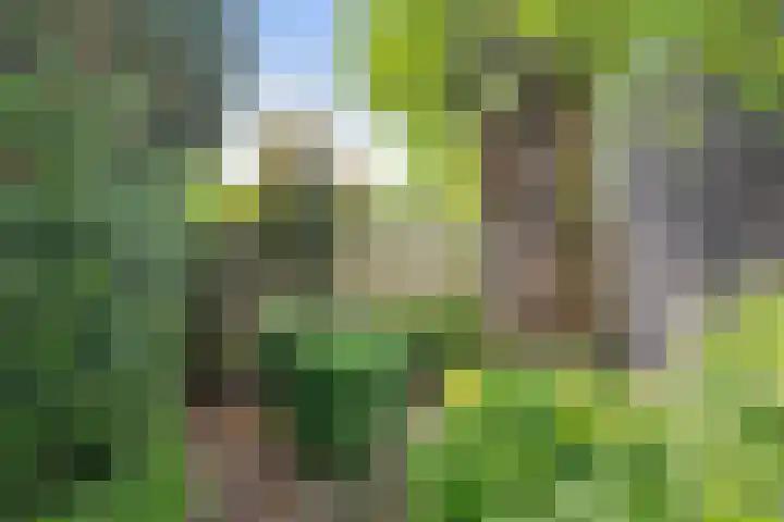 Nieuwlandersingel 56 Alkmaar thumbnail 49
