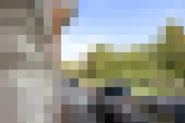 Nieuwlandersingel 56 Alkmaar thumbnail 50