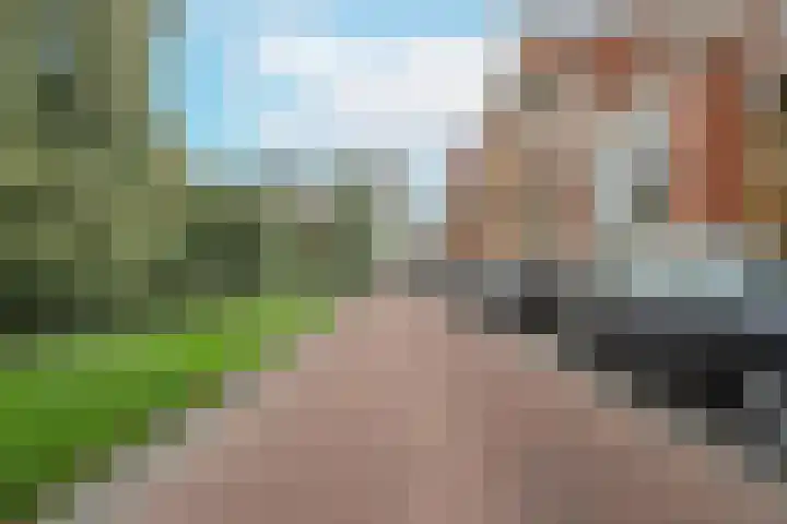 Nieuwlandersingel 56 Alkmaar thumbnail 51