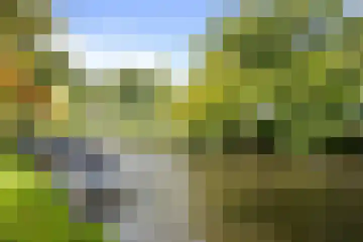 Nieuwlandersingel 56 Alkmaar thumbnail 52