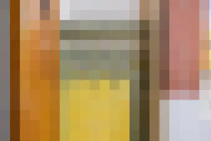 Nieuwlandersingel 56 Alkmaar thumbnail 6