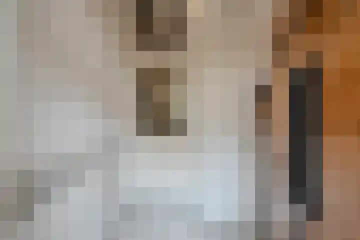 Nieuwlandersingel 56 Alkmaar thumbnail 7
