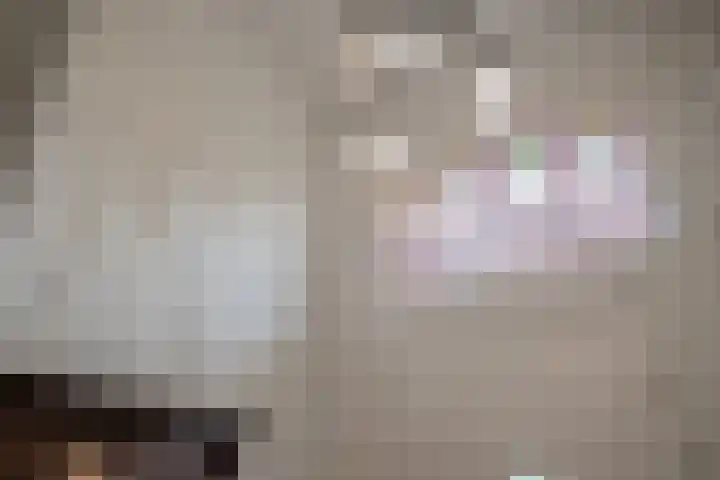 Nieuwlandersingel 56 Alkmaar thumbnail 9