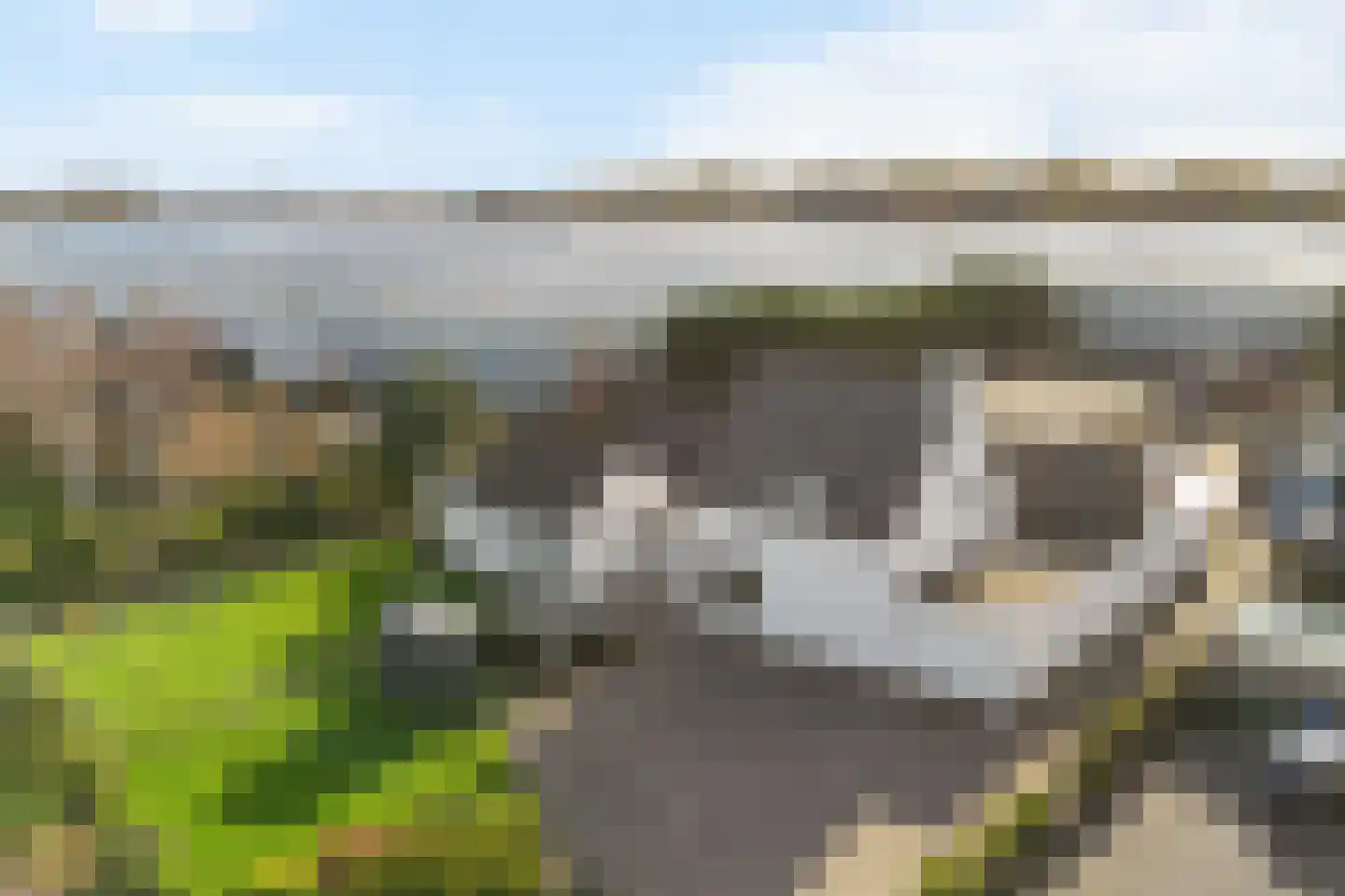 Nieuwlandse Polderweg 19 Hoek van Holland thumbnail 6
