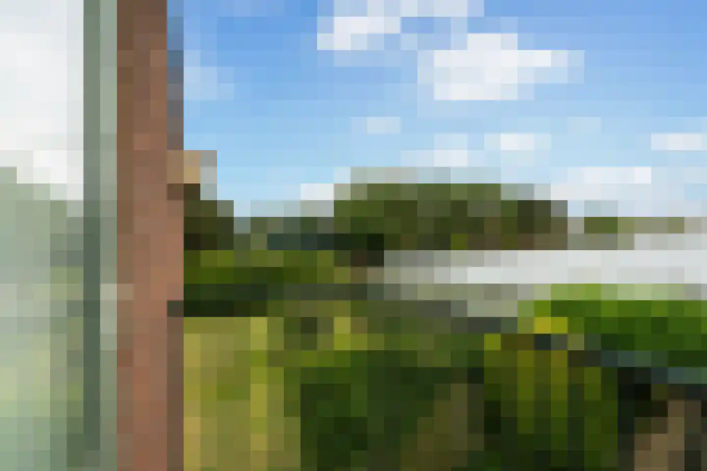 Nieuwlandsedijk 21 's-Gravenzande thumbnail 22