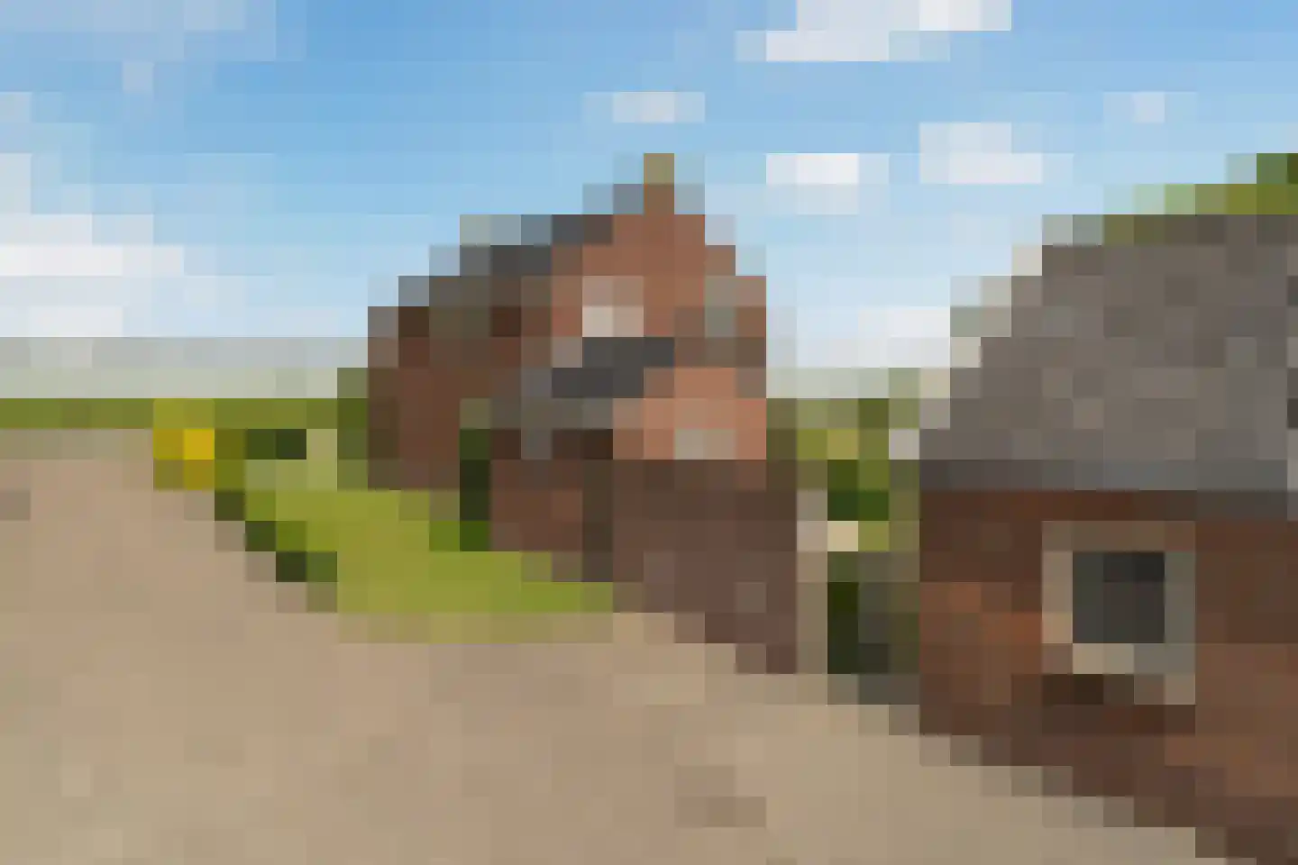 Nieuwlandsedijk 21 's-Gravenzande thumbnail 42