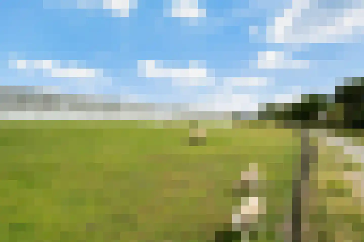 Nieuwlandsedijk 21 's-Gravenzande thumbnail 44