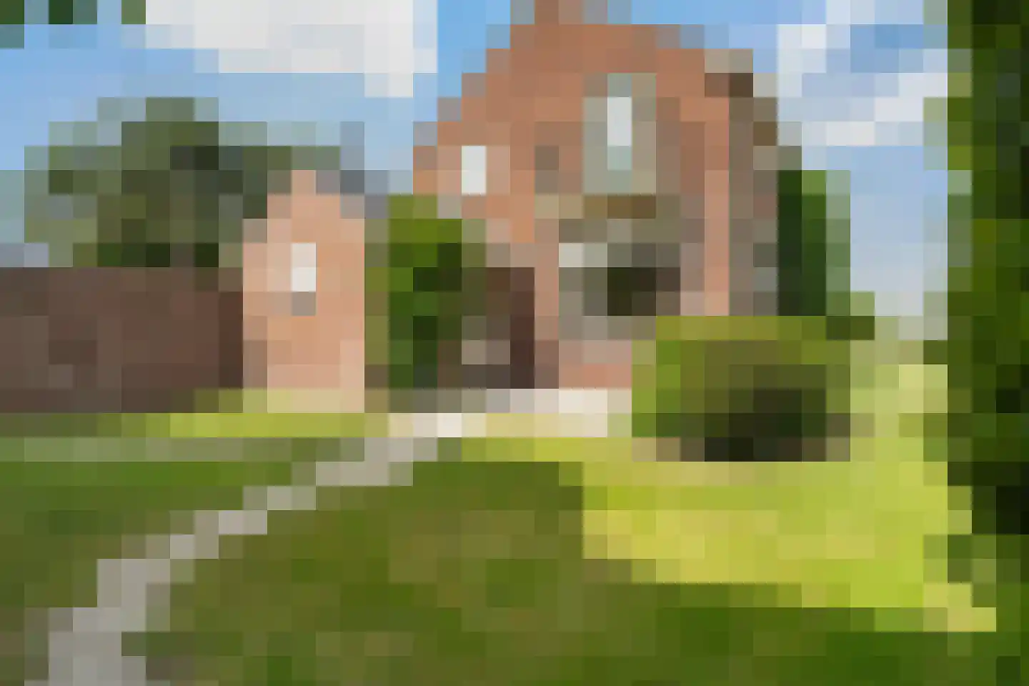 Nieuwlandsedijk 21 's-Gravenzande thumbnail 5
