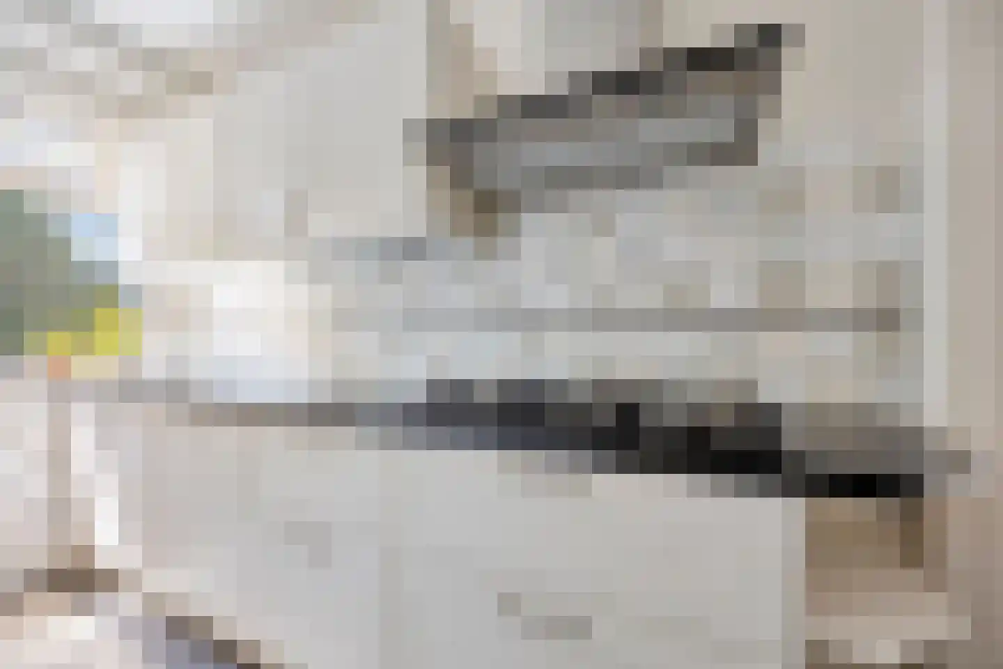 Nieuwlandsedijk 29 Lage Zwaluwe thumbnail 13