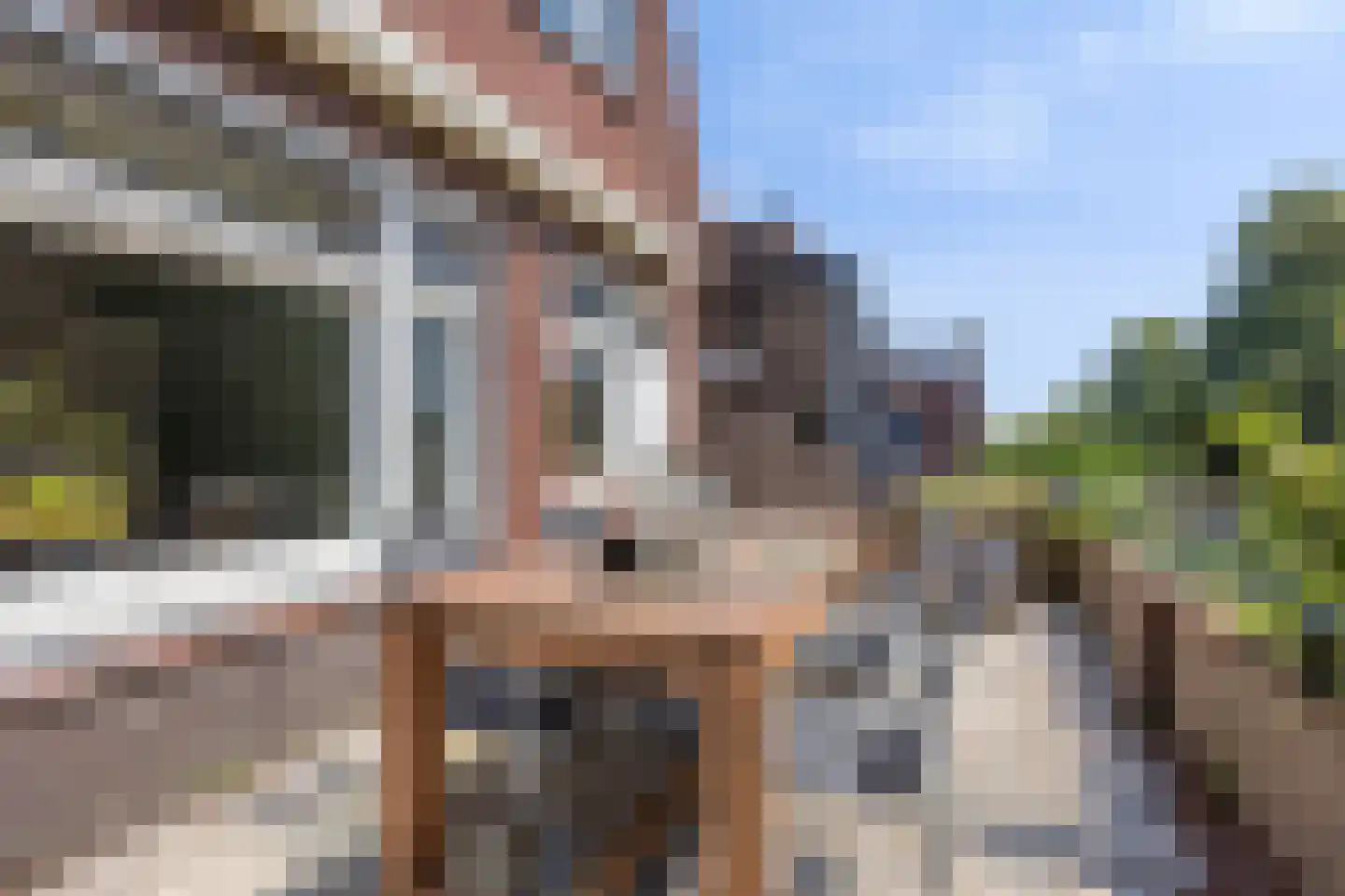 Nieuwlandsedijk 29 Lage Zwaluwe thumbnail 16