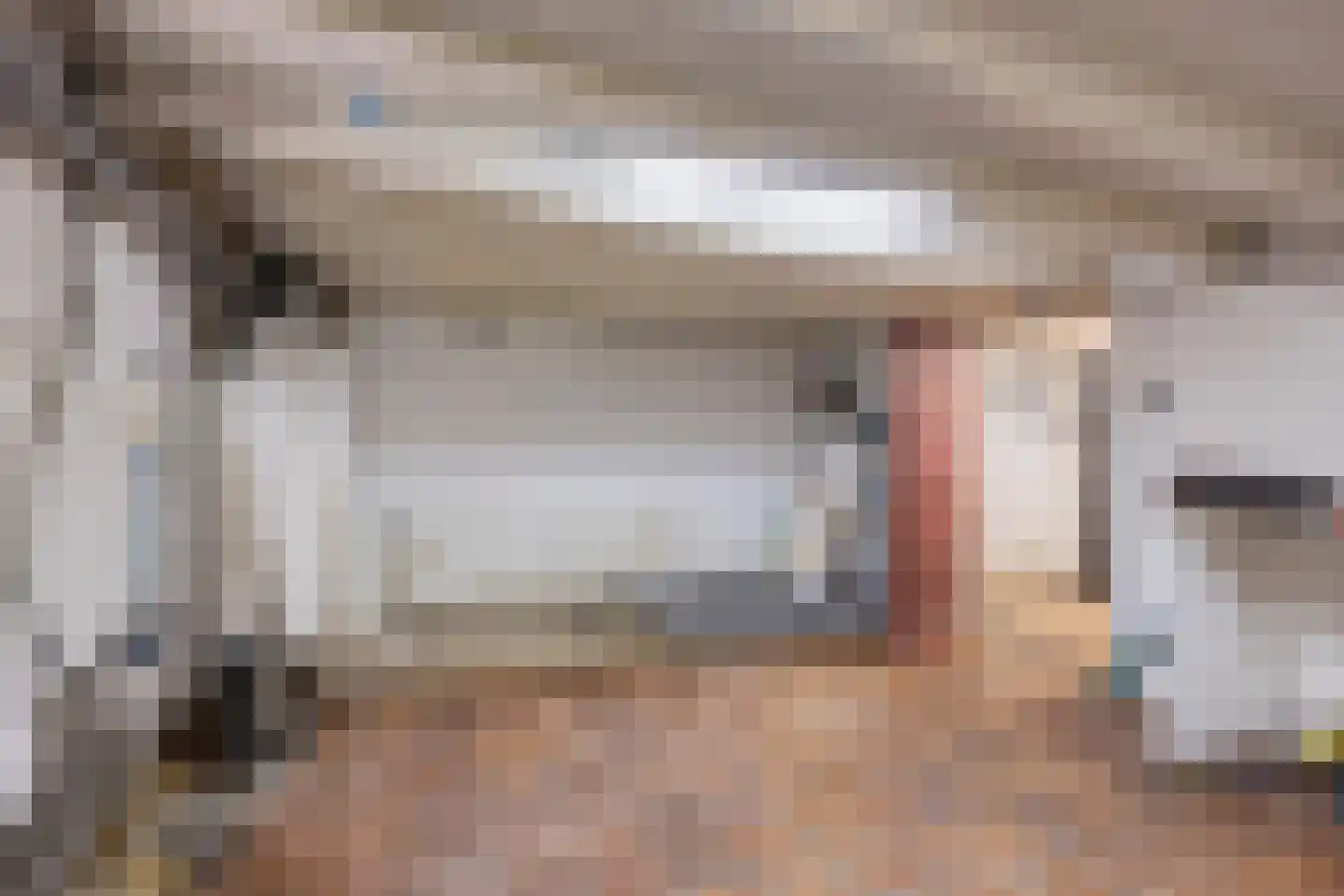 Nieuwlandsedijk 29 Lage Zwaluwe thumbnail 33