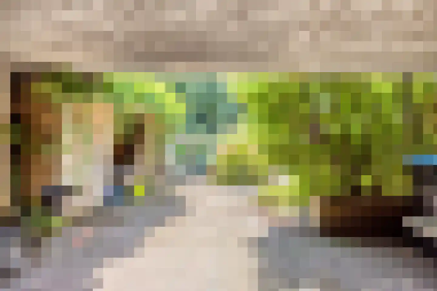 Nieuwlandsedijk 29 Lage Zwaluwe thumbnail 34