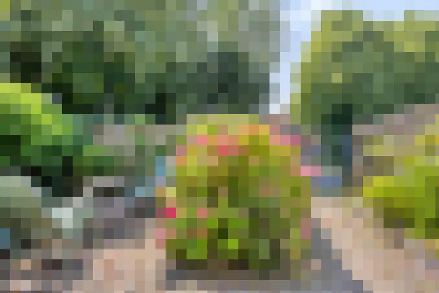 Nieuwlandsedijk 29 Lage Zwaluwe thumbnail 36