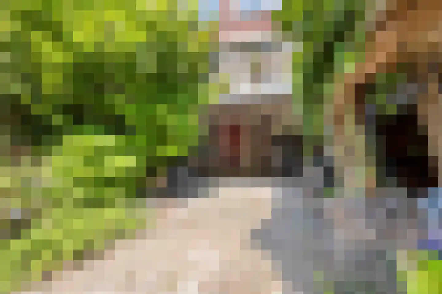 Nieuwlandsedijk 29 Lage Zwaluwe thumbnail 37