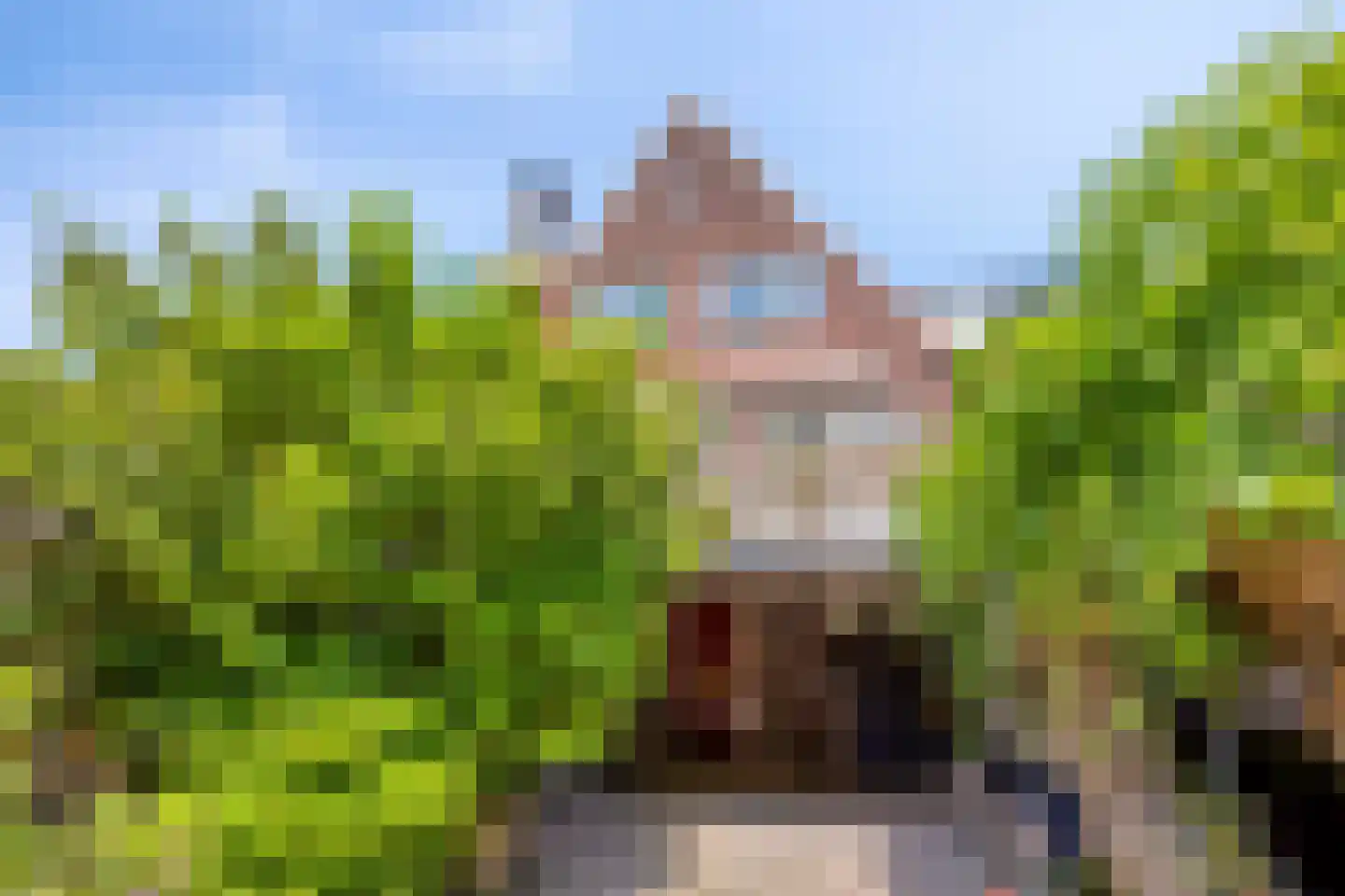 Nieuwlandsedijk 29 Lage Zwaluwe thumbnail 38