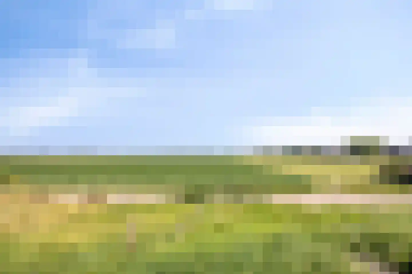 Nieuwlandsedijk 29 Lage Zwaluwe thumbnail 40