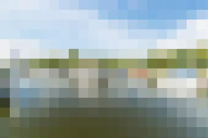 Nieuwlandsedijk 38 Lage Zwaluwe foto 2