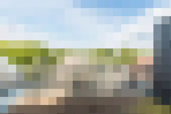 Nieuwlandsedijk 38 Lage Zwaluwe thumbnail 39