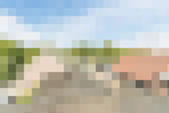 Nieuwlandsedijk 38 Lage Zwaluwe thumbnail 40