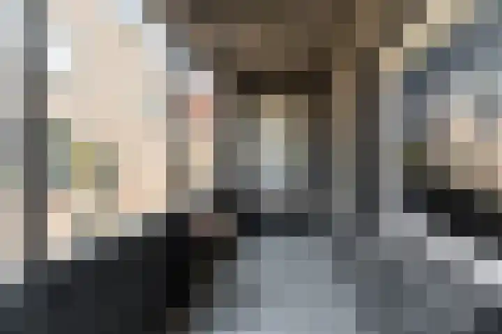 Nieuwlandsedijk 38 Lage Zwaluwe thumbnail 42