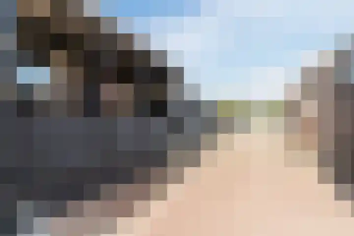 Nieuwlandsedijk 38 Lage Zwaluwe thumbnail 44