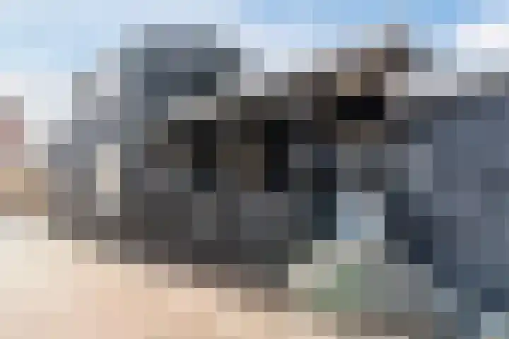 Nieuwlandsedijk 38 Lage Zwaluwe thumbnail 45