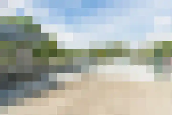 Nieuwlandsedijk 38 Lage Zwaluwe thumbnail 50