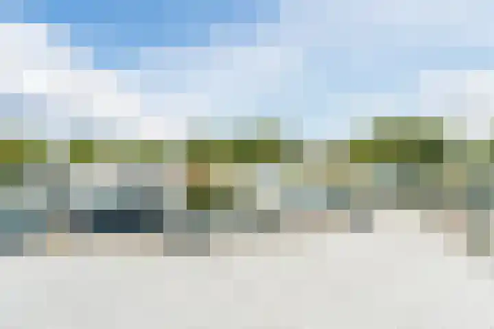 Nieuwlandsedijk 38 Lage Zwaluwe thumbnail 51