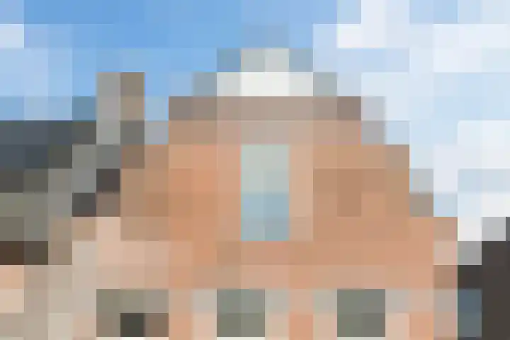 Nieuwlandsedijk 38 Lage Zwaluwe thumbnail 6