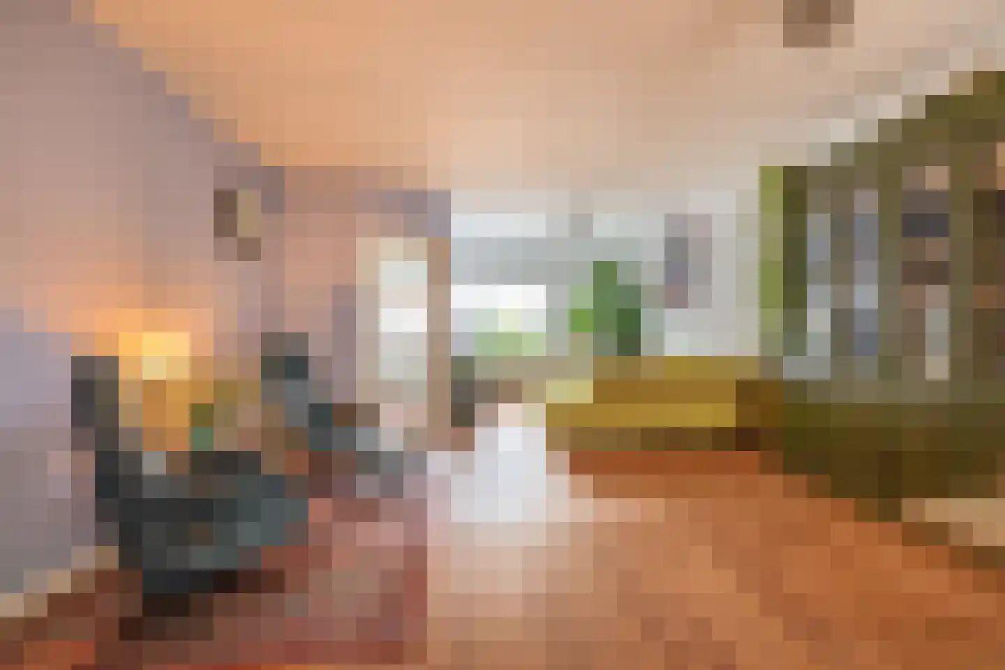 Nieuwlandsedijk 87 Lage Zwaluwe thumbnail 10