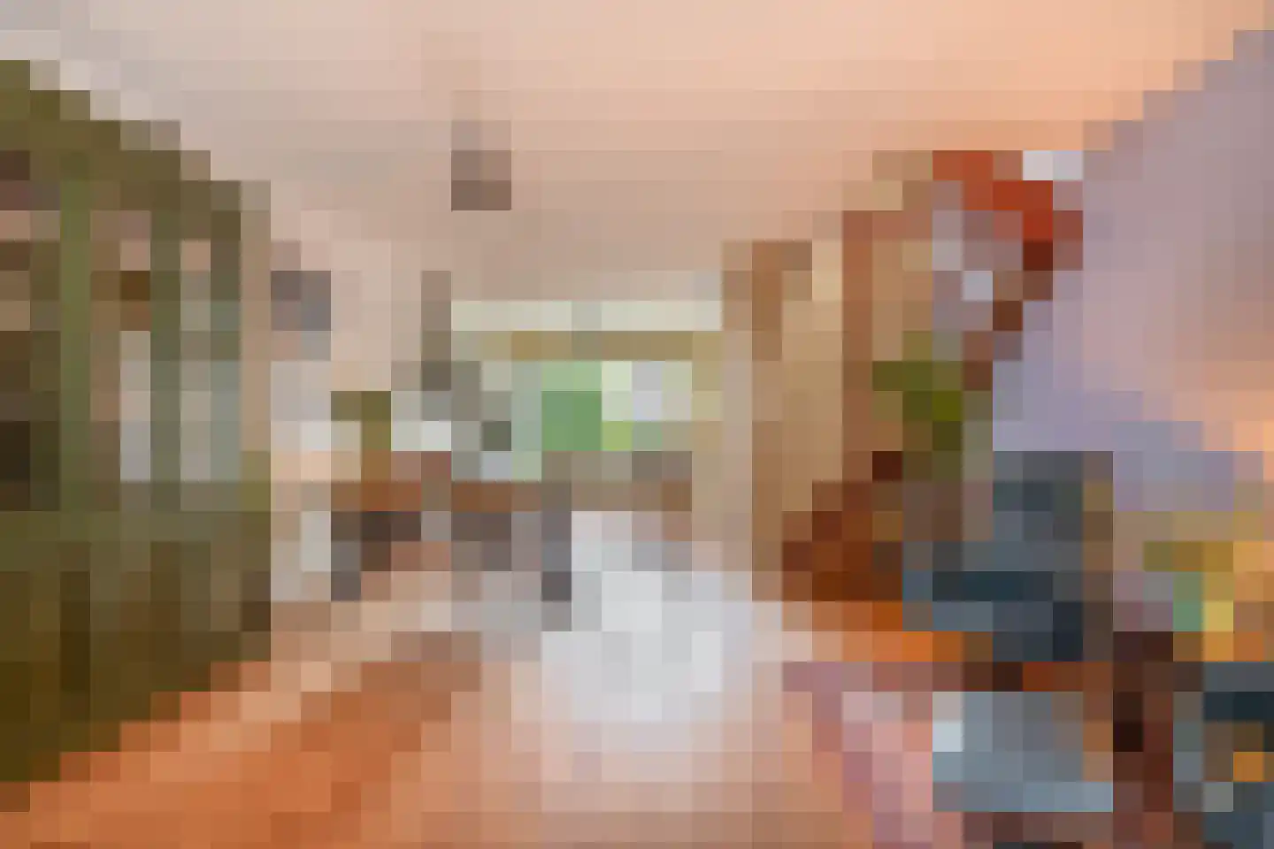 Nieuwlandsedijk 87 Lage Zwaluwe thumbnail 11