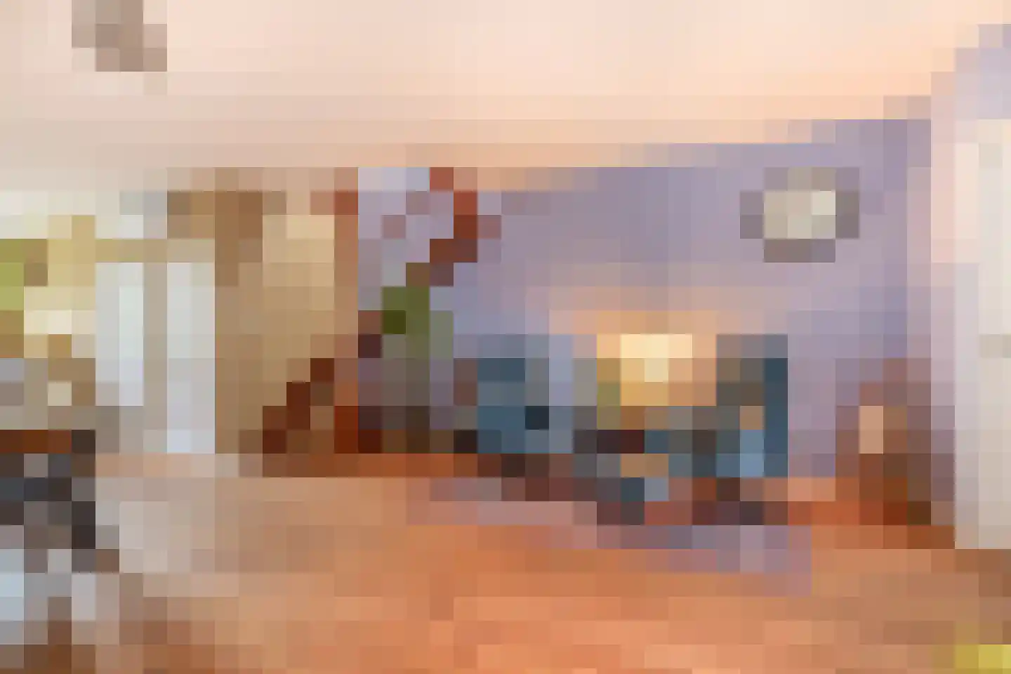 Nieuwlandsedijk 87 Lage Zwaluwe thumbnail 12
