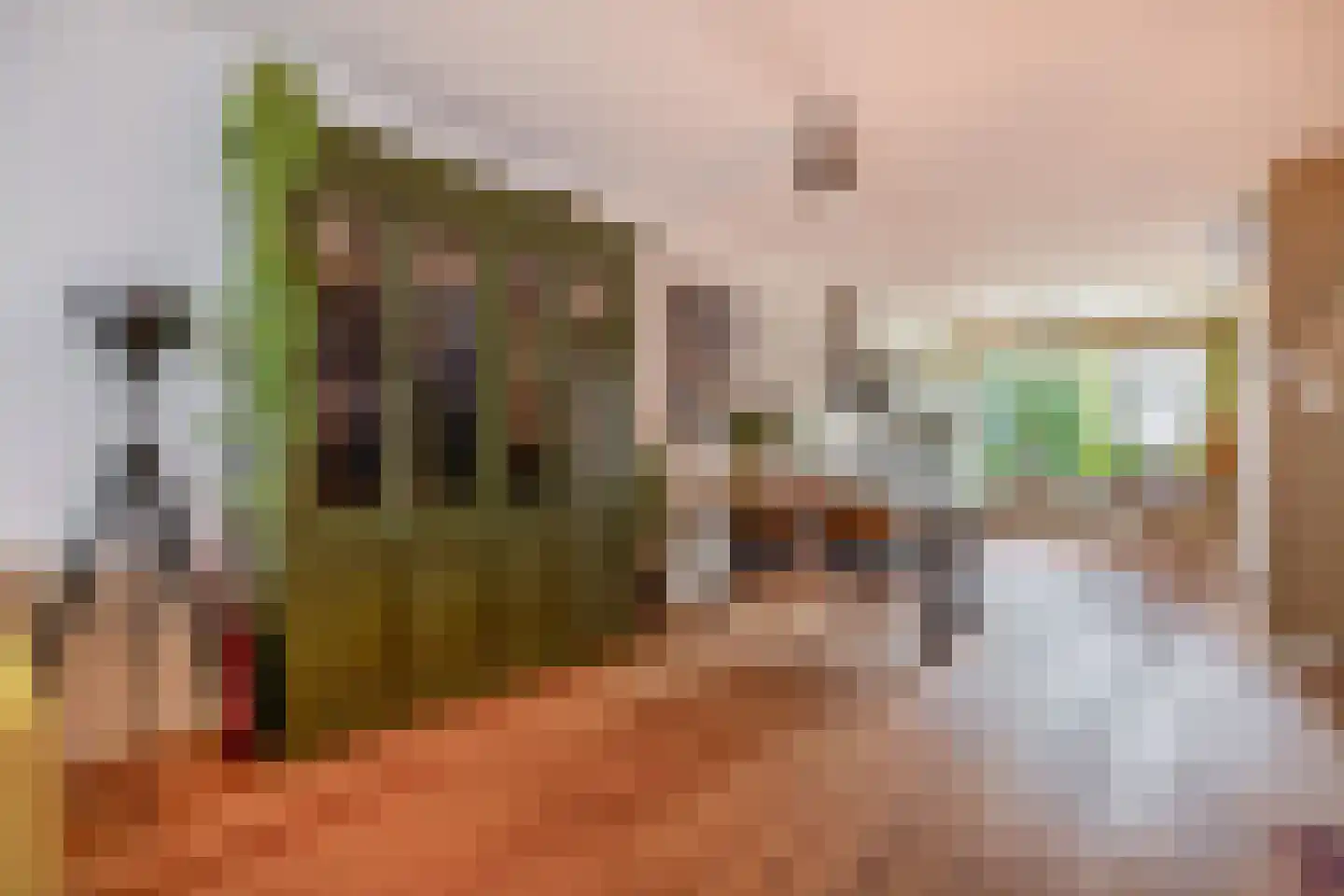 Nieuwlandsedijk 87 Lage Zwaluwe thumbnail 13