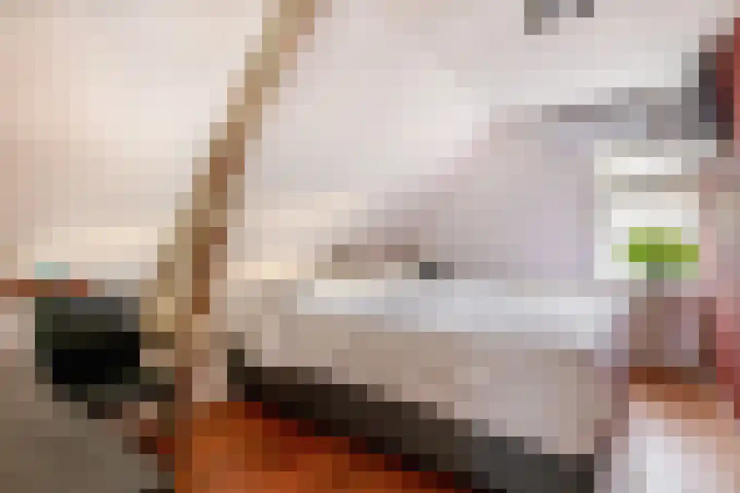Nieuwlandsedijk 87 Lage Zwaluwe thumbnail 19