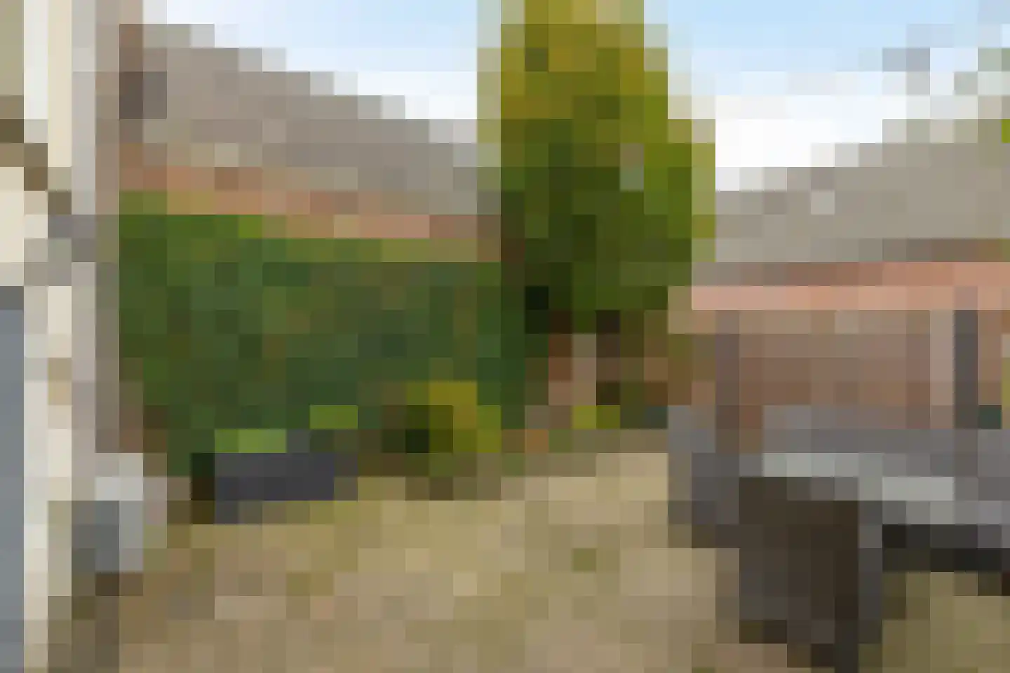 Nieuwlandsedijk 87 Lage Zwaluwe thumbnail 28