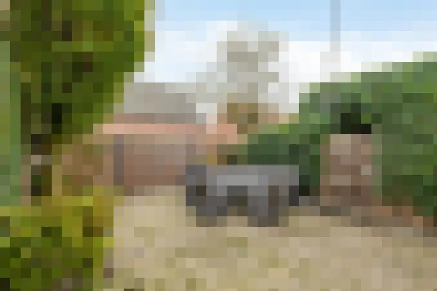 Nieuwlandsedijk 87 Lage Zwaluwe thumbnail 29